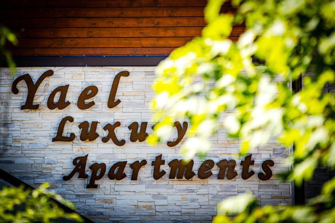 Yael Luxury Apartments 2 Buşteni Eksteriør billede