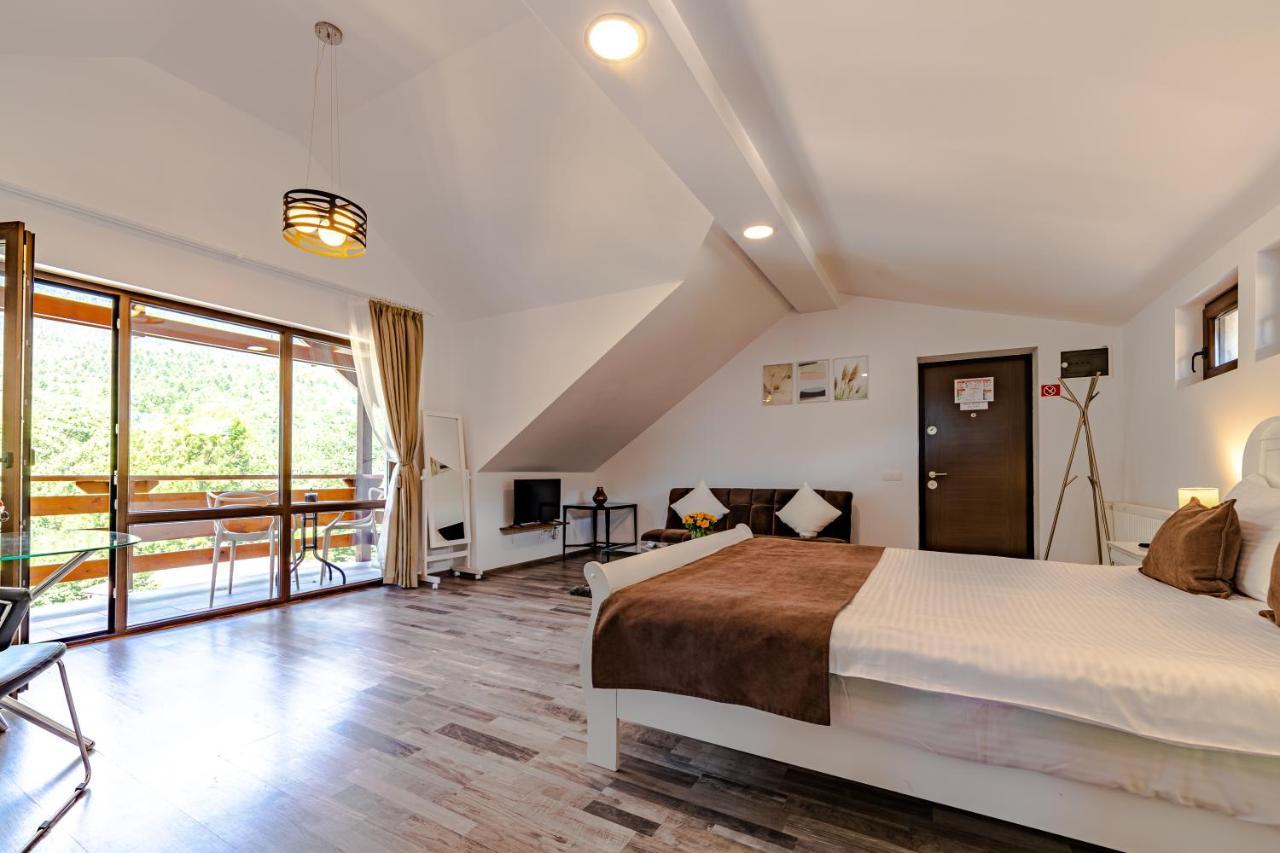 Yael Luxury Apartments 2 Buşteni Eksteriør billede